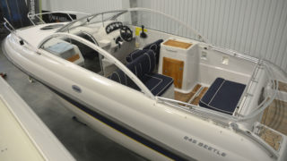 Askeladden 645 Beetle