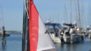 Agapi 800 med yamaha motor