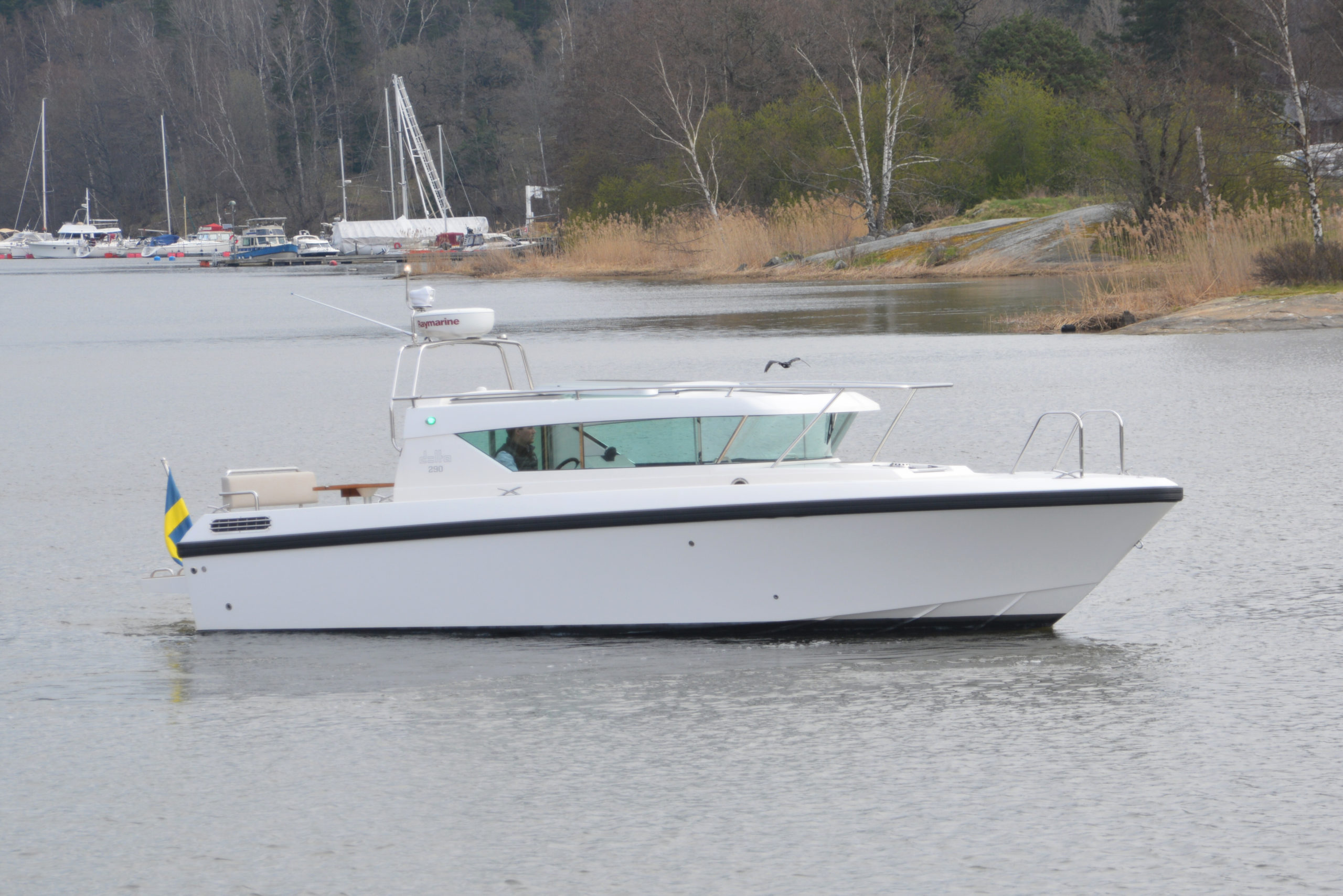 Delta 290 SW | Seacastle
